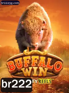 BuffaloWin: Uma Exploração Completa do Jogo e Suas Regras com Perspectivas Atuais